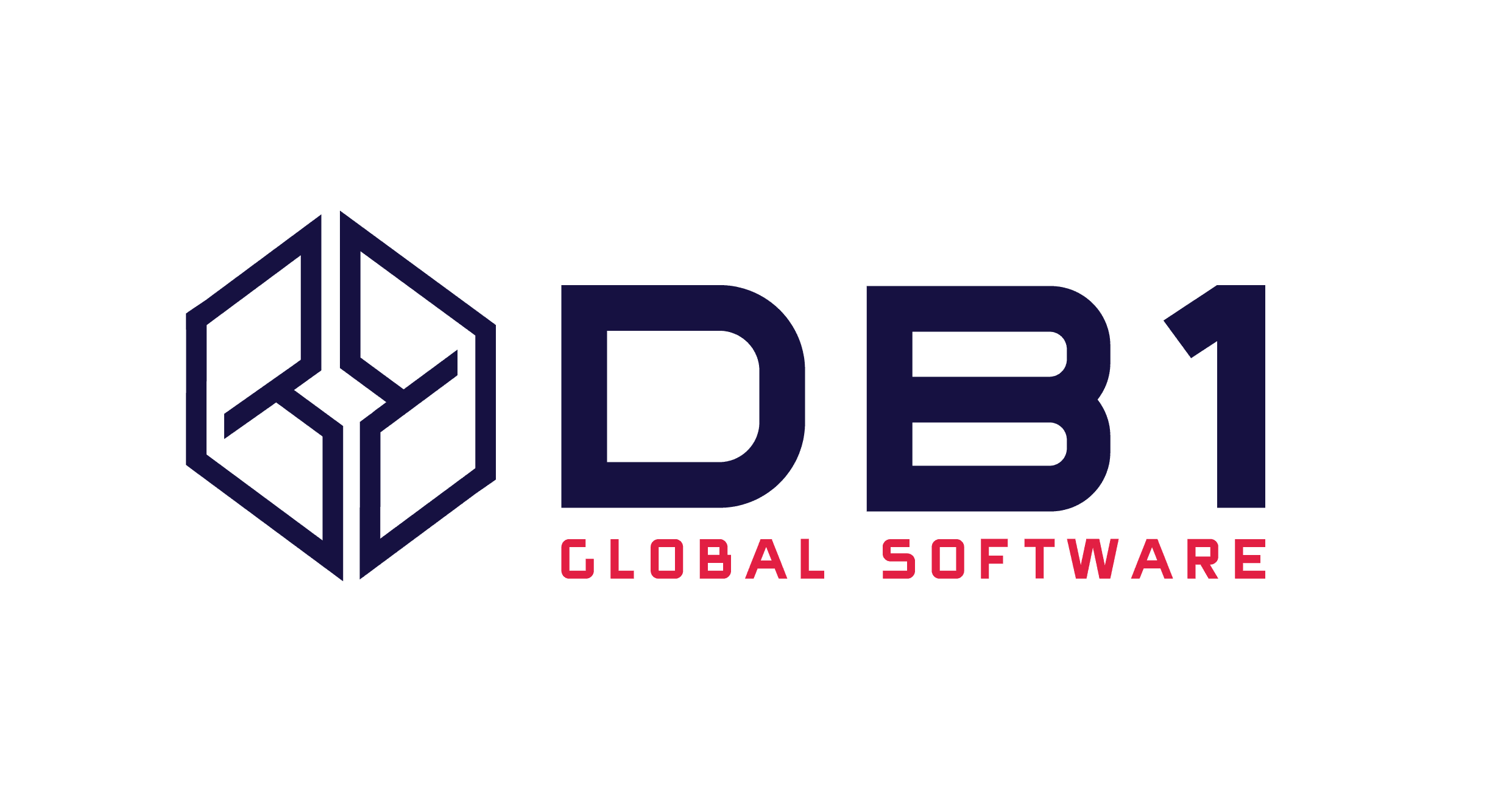 DB1 GLOBAL SOFTWARE