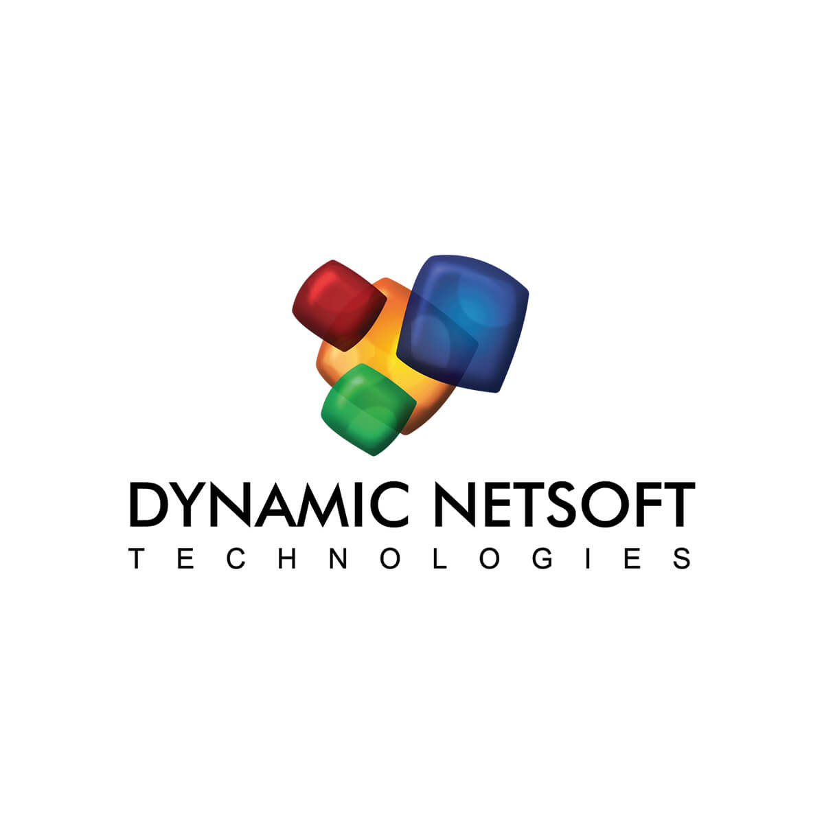 Dynamic Netsoft Technologies