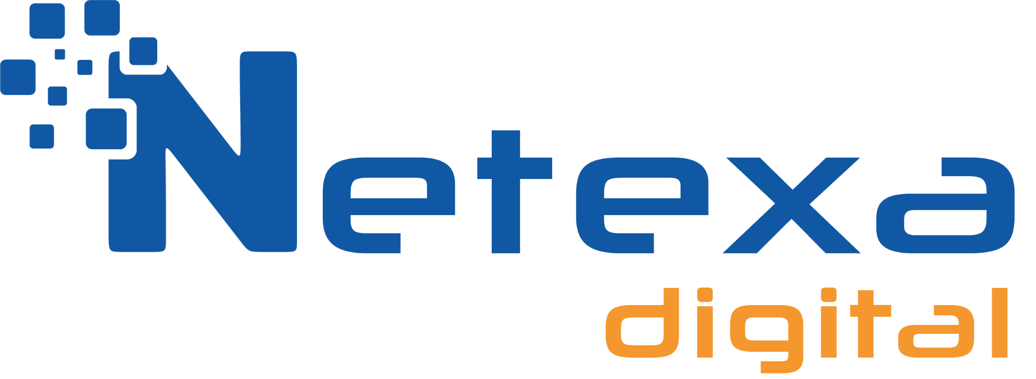 Netexa Digital Infotech Pvt. Ltd.