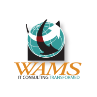 WAMS, Inc.