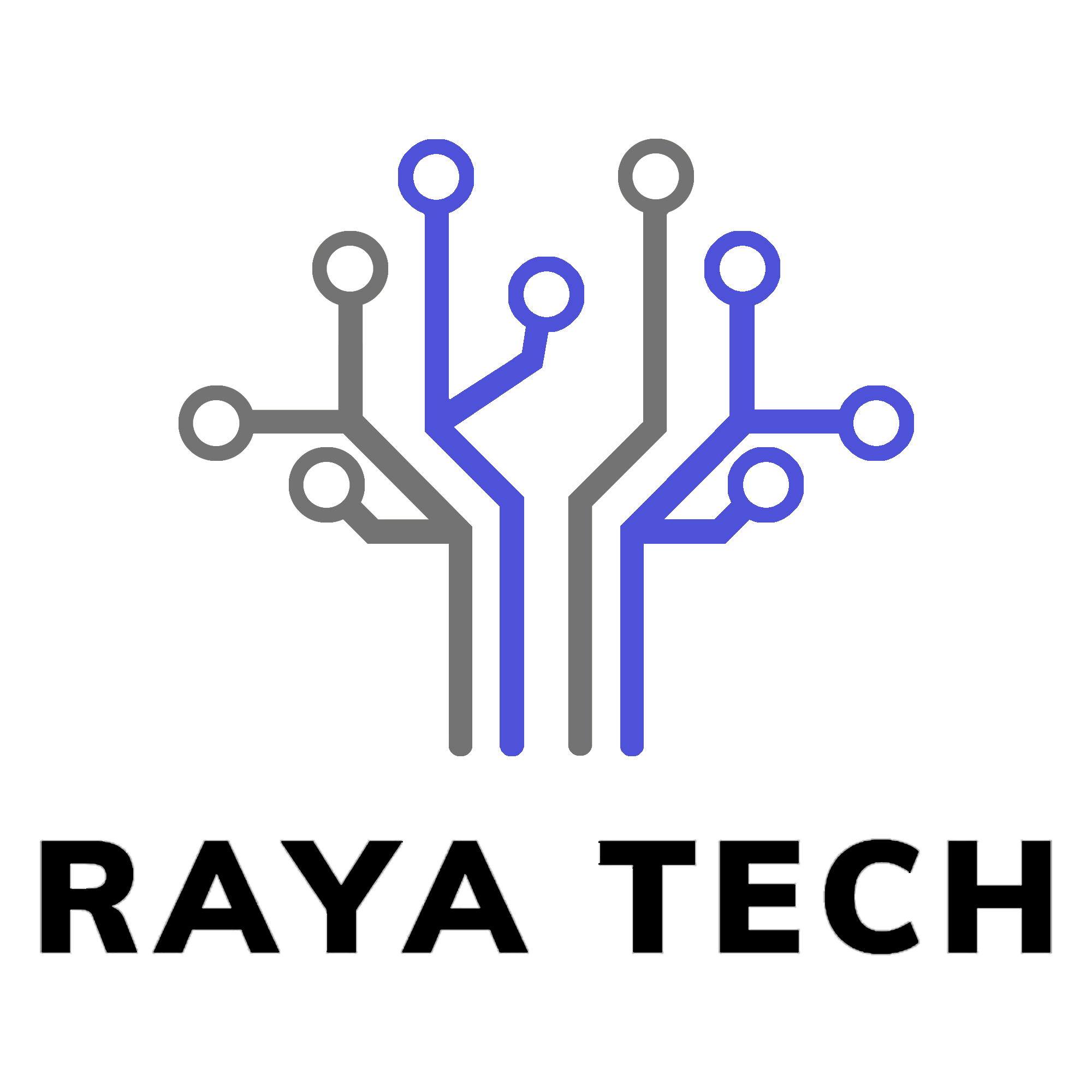 RayaTech