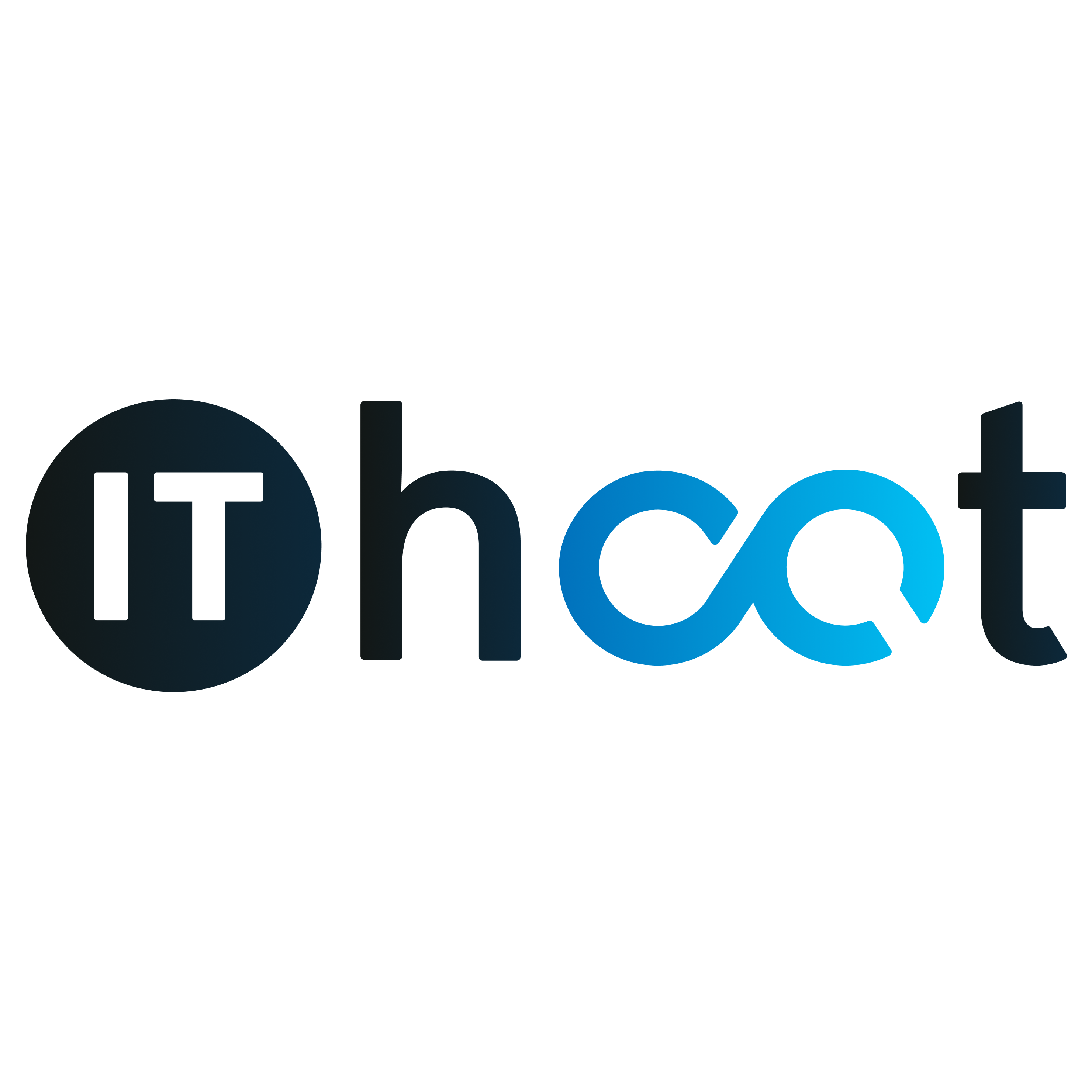IT Hoot