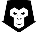 Snow Monkey